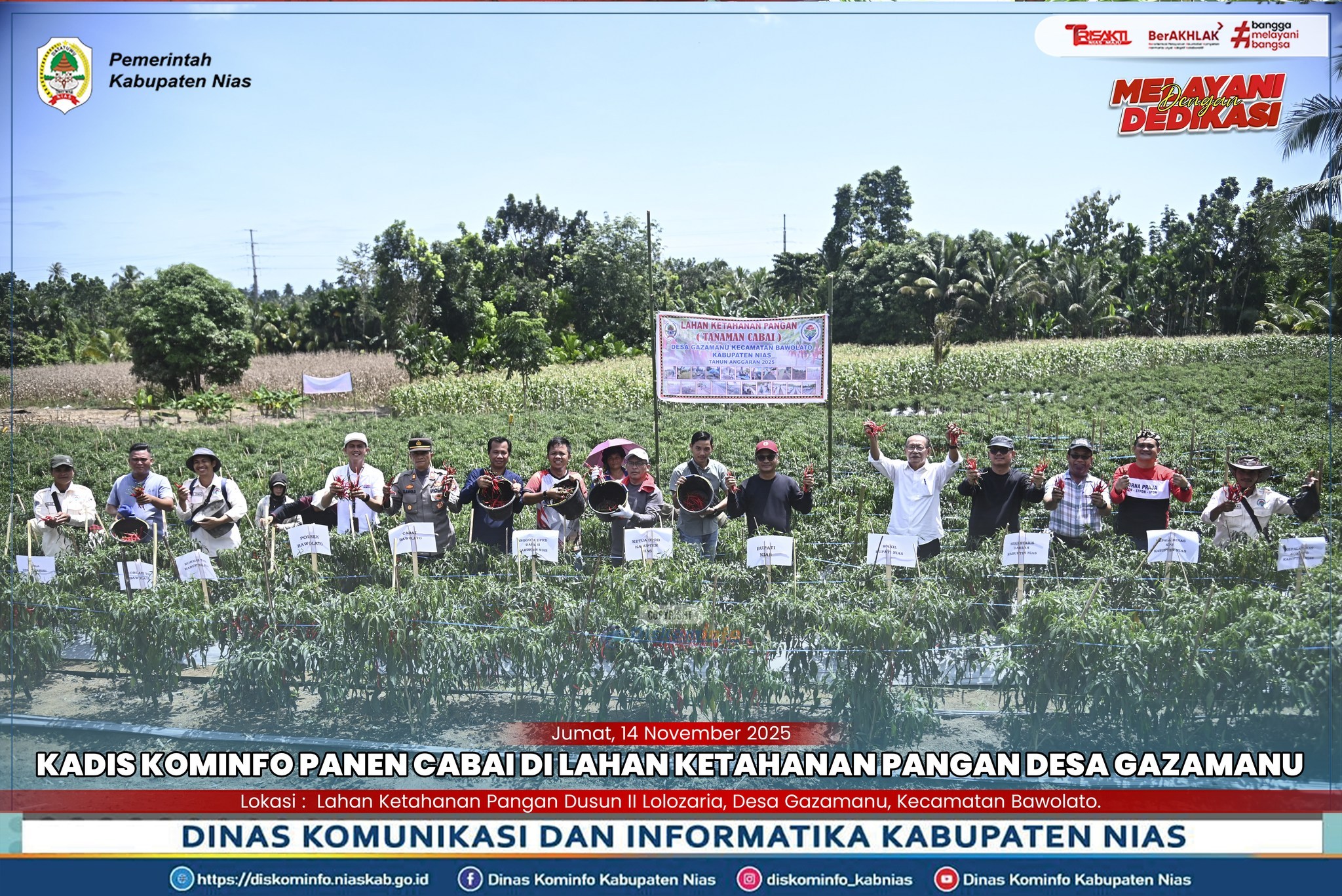 KADIS KOMINFO HADIRI PANEN CABAI DI GAZAMANU, KECAMATAN BAWOLATO